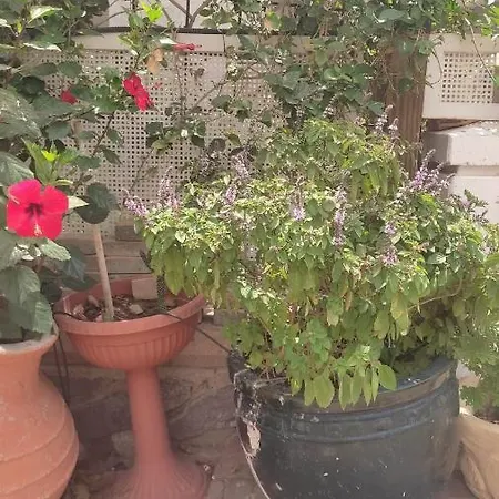 צימר ליליאנה Eilat Exterior foto